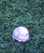 Summer 2021 001 Aquablob.png