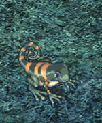 Easter 2021 010 Chameleon.png