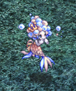 Summer 2021 003 Aqua Baby Mermaid.png