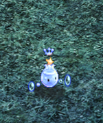 Summer 2021 004 Aqua Mascot.png