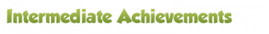 Achievement intermediate1.png