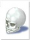 Skull.png