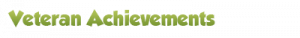 Achievement veteran1.png